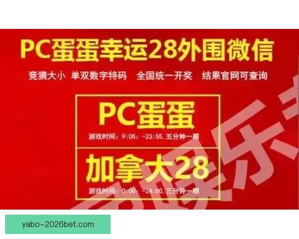 世界杯精彩竞猜投注攻略全面解析与实用技巧指南